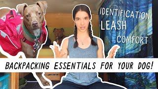 Backpacking ESSENTIALS for Your Dog! | Miranda in the Wild