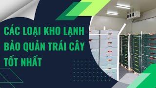 Các Loại Kho Lạnh Bảo Quản Trái Cây Tốt Nhất Hiện Nay | Cách Bảo Quản Trái Cây Tươi Lâu 