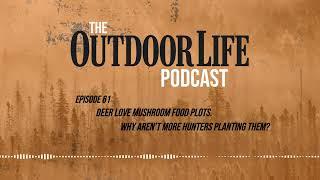 Episode 61: Deer Love Mushroom Food Plots. Why Aren’t More Hunters Planting Them?