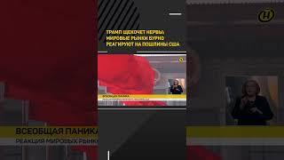 Трамп щекочет нервы: мировые рынки бурно реагируют на пошлины США #shorts #shortvideo #shortsfeed