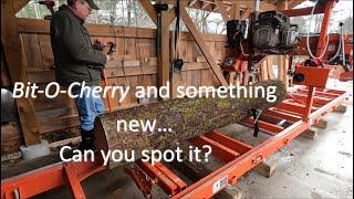 Power Feed Install and Test on the Wood-Mizer LT15 #woodmizer #sawmill