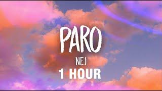 [1 HOUR] Nej - Paro (sped up) Lyrics | allo allo tik tok song
