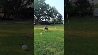  Insane Dive and Catching #shorts #football #goalkeeper #keeperguddu