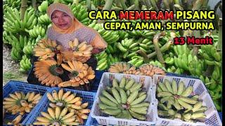 CARA MEMERAM PISANG TANPA OBAT, AMAN, SEHAT, DAN MATANG SEMPURNA