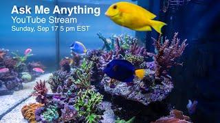 Live Q&A - Treasure Corals, AquaticLog and my aquariums