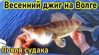 ВЕСЕННЯЯ ЛОВЛЯ СУДАКА НА ДЖИГ/РЫБАЛКА НА ВОЛГЕ/ЛОВЛЯ НА СПИННИНГ/СУДАК/ВЕСЕННЯЯ РЫБАЛКА/РЫБАК 87