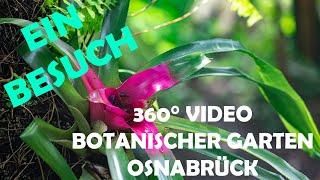 360 Grad Video Botanischer Garten Osnabrück im Regenwaldhaus.