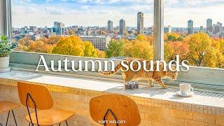 Do you like autumn, sitting and watching the yellow leaves fall and listening to piano music - Aut