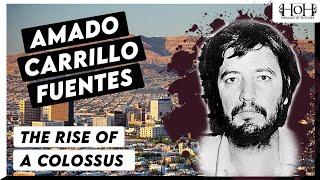 Amado Carrillo Fuentes - The Rise of a Colossus