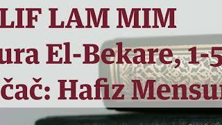 Elif Lam Mim - hafiz Mensur ef. Malkić