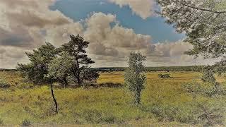 Streekpad16 Veluwe zwerfpad deel9 variant DEF Garderen-Elspeet-Hoog Soeren-Garderen