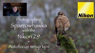 How to Photograph Sparrowhawks with the Nikon Z9 + Setting up the autofocus for wildlife.