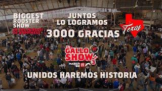 EL GALLO SHOW 3, The BIGGEST ROOSTER SHOW / El Show más grande de Aves de Combate.