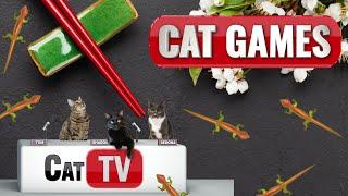 CAT Games | Larry the Lizard Explores Japan!   | Lizard Videos For Cats to Watch  | Cat TV