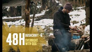 48H Bushcraft Overnight with Dog | -6° | Survival Training | Lagerbau | 4K | Outdoor Pack