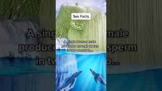 The record for the most female orgasms is... | sex fact | psychology fact | #shorts