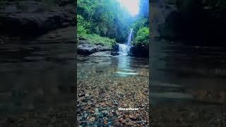 Mazandaran #viralshorts #naturevideo #youtubeshorts #shorts #trending #tiktok #natureshorts #nature