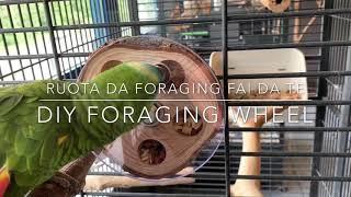 DIY parrot foraging wheel