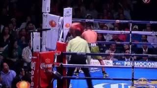 ****** GRAN PELEA ****