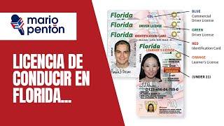 ¿Cómo obtener licencia de conducir en Florida tras ley de DeSantis sobre inmigración?