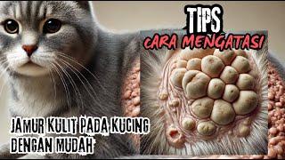 Cara Mengatasi Jamur Kulit pada Kucing dengan Mudah