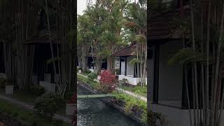 Best budget resort in kumarakom| Paradise resort kumarakom| budget resort in Kumarakom #resort