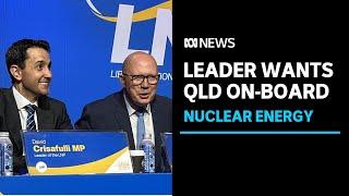 Nationals leader expects Queensland LNP to support Coalition's nuclear plan | ABC News