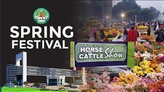 Visit to Spring Festival 2022 ll Horse & Cattle Show ll Day 04 ll DHA Multan