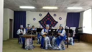 Народный ансамбль народных инструментов ГУО Калинковичская детская школа искусств»