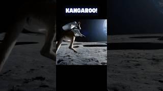 Cute Space Kangaroo in Jumping on the moon! A giant leap for animal kind.. #cuteanimals #funny