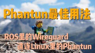 【自建VPN5】如何用ROS中的Wireguard连接Linux下的Phantun客户端？这才是最简单、最高效、最稳定的连接方式。（RouterOS、Wireguard、Phantun、Linux）