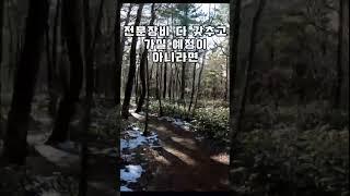 제주도 서쪽 가볼만한곳 운동효과도 톡톡함 궷물 족은 큰 노꼬메 오름