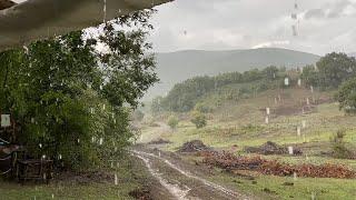 AYI DIŞKISI YAĞMUR️FIRTINA BEAR excrement RAIN️FIRTINA MOUNTAIN HOUSE