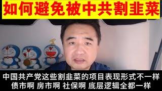 翟山鹰：普通人如何避免被中共割韭菜