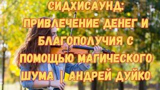 Сидхисаунд: привлечение денег и благополучия с помощью магического шума | Андрей Дуйко