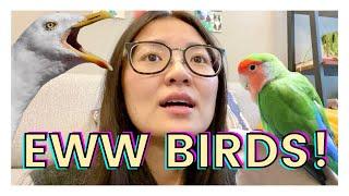 MEET MY BIRDS! | How I Ended Up Owning Birds