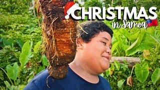 Gathering Food for our BIG Christmas feast | CHRISTMAS IN SAMOA | SamoanFarmer‍