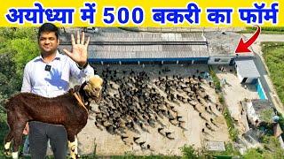 15 साल से अयोध्या में चल रहा है यह शानदार बकरी फार्म | Goat farming Startup