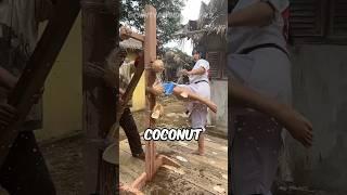 She Smashed Coconuts Like Nothing (@chintyacandranaya.2)