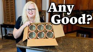 UNBOXING & REVIEW: Weck 741 Mold Jars - The Ultimate Storage Solution for Kitchen & Beyond!