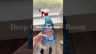 🫶Mini Deep Clean Vlog 