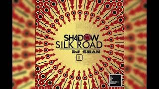 SHADOW OF THE SILK ROAD | ETHNIC ORIENTAL HOUSE MIX by DJ SHAN (part II)