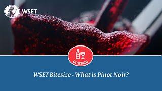 WSET Bitesize - What is Pinot Noir?