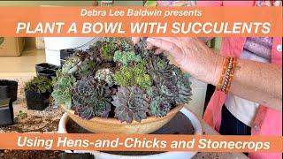 Make a Mounded Succulent Arrangement with Hens-and-Chicks and Stonecrops