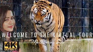 Virtual Tour of  Melbourne Zoo - Australia