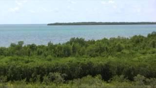 Upper Keys Vacation Condo Rental - Key Largo, Florida