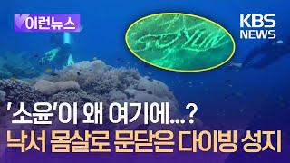 [이런뉴스] ‘소윤’ 한국이름 낙서에 필리핀 다이빙 성지 폐쇄 “법적 조치, 현상금” / KBS 2024.09.05.