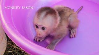 The Cutest Little Monkey Ever, Baby Jason Crying Very Pitiful In Bathtub Wait Mom Bathing