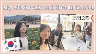 【交換派遣留学Vlog】韓国・高麗大学での1日 |  My studyabroad life in Korea 