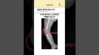 신생아에 대한 놀라운 사실 3가지